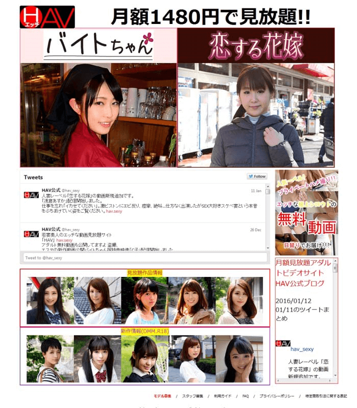 HAV (�G�b�`AV)